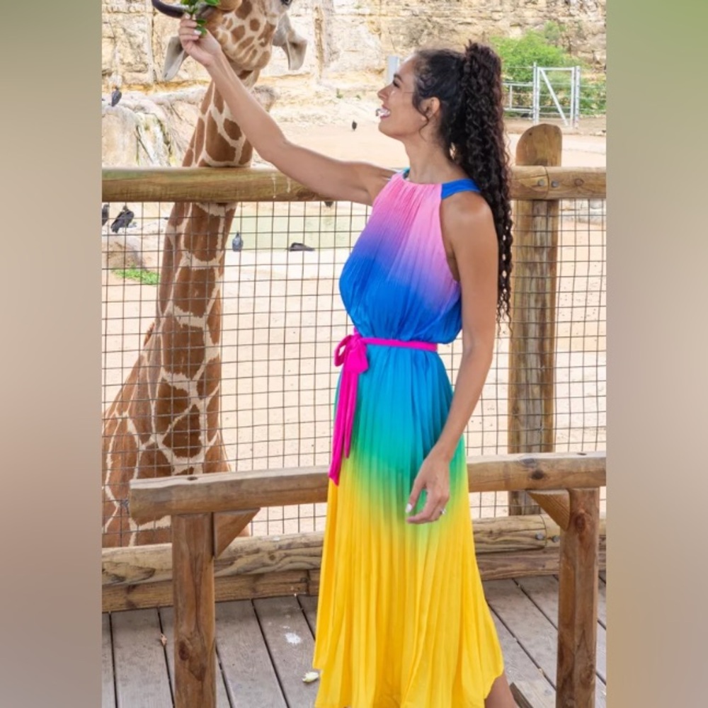 Vibrant Multicolor Ombre Pleated Maxi Dress